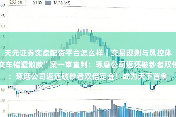 天元证券实盘配资平台怎么样｜交易规则与风控体系介绍 小米汽车“未交车催遣散款”案一审宣判：琢磨公司返还破钞者双倍定金！或为天下首例