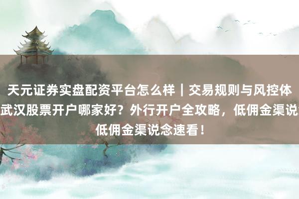 天元证券实盘配资平台怎么样｜交易规则与风控体系介绍 武汉股票开户哪家好？外行开户全攻略，低佣金渠说念速看！