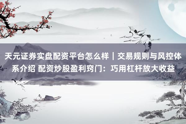 天元证券实盘配资平台怎么样｜交易规则与风控体系介绍 配资炒股盈利窍门：巧用杠杆放大收益