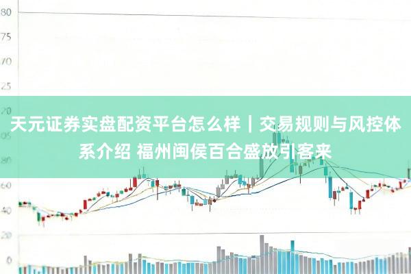 天元证券实盘配资平台怎么样｜交易规则与风控体系介绍 福州闽侯百合盛放引客来