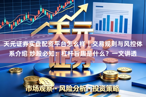 天元证券实盘配资平台怎么样｜交易规则与风控体系介绍 炒股必知：杠杆旨趣是什么？一文讲透