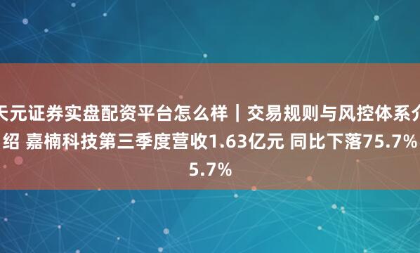 天元证券实盘配资平台怎么样｜交易规则与风控体系介绍 嘉楠科技第三季度营收1.63亿元 同比下落75.7%